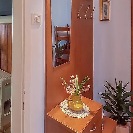Sea View Karst House With Bikes Appartement *